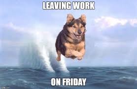 Collection 70 Funniest Friday Memes And Best Tgif Meme For The Weekend Quoteslists Com Number One Source For Inspirational Quotes Illustrated Famous Quotes And Most Trending Sayings Explore and share the best friday gifs and most popular animated gifs here on giphy. 70 funniest friday memes and best tgif