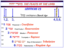 Charts On Feast Of Tabernacles Offerings Google Search