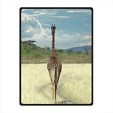 Prints edge to edge on one side machine wash separately in cold water. Custom Giraffe Fleece Blanket And Throw Blanket And Throw For Bed Sofa 147 Zentimeters X 203 Zentimeters Wool C 58 X 80 Inches Buy Online In Bahamas At Bahamas Desertcart Com Productid 54914179
