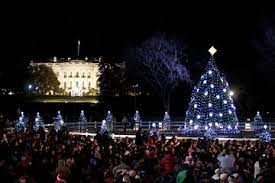 Things To Do In Washington Dc Christmas 2021 Washington Dc Annapolis Holiday Lights Sightseeing Tour 2021 Viator