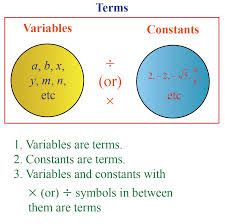 variable expressions definition solved examples questions