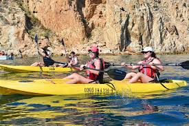 Vegas glass kayaks, las vegas, nevada. Los Cabos Arch And Playa Del Amor Tour By Glass Bottom Kayak Los Cabos Mexico