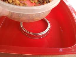 This is the explanation of how the bowl work. Diy Ant Proof Pet Bowl Set A Canning Ring In A Larger Container Fill With Enough Water To Reach About Halfway Ish Up The Ri Pet Bowls Food Bowl Small Meals