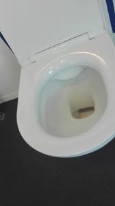 sanik wc zonder spoelrand deksel klapt niet toe gaat traag deksels