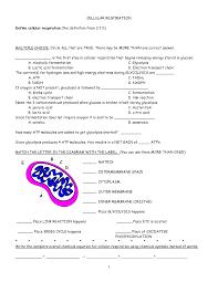 According to model 1, what are the products of cellular respiration? Cellular Respiration Cellular Respiration Photosynthesis And Cellular Respiration Biology Worksheet