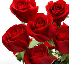 Love Flowers Hd Of Computer Roses Best And Rose Rose Flower Wallpaper Beautiful Rose Flowers Red Rose Flower