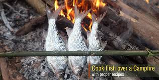 Whether you are going to use the fresh prized fish that you just caught, or the fish you buy from the fish monger or supermarket, these methods on how to cook fish will benefit judging doneness of cooked fish. How To Cook Fish Over A Campfire With Proper Recipes