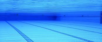 Je nach den vorlieben der gestalter können die gartengestaltungen variieren. Trainingsorte Schwimmen Lernen Im Schwimmkurs Und Personal Training Fur Triathleten Und Anfanger