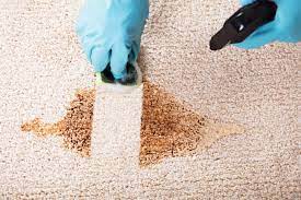 Understanding how to clean carpets starts with discovering that there are different types of machines available. How To Clean Vomit From Carpet 7 Tips You Need To Know