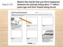 Students study fossils and the process of in this fossils lesson plan, students complete a prediction activity for a book about fossils and save time and discover engaging curriculum for your classroom. Fossil Finds