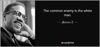 The enemy is laughing at you as you tear yourself to pieces. Malcolm X Quote The Common Enemy Is The White Man