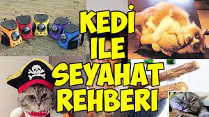 kedinizle nasil yolculuk etmelisiniz youtube