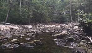 2,656 sq mi) proclamation boundary that includes much of the potomac highlands region and portions of 10 counties. Red Creek Trail West Virginia Trails Traillink