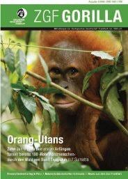 Image result for Kotschya prittwitzii