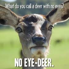 What Do You Call A Deer With No Eyes Animal Jokes Funny Animal Jokes Lame Jokes