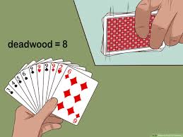 Our platform is completely safe and legally compliant. How To Play Gin Rummy With Pictures Wikihow
