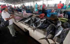 Harga ikan laut, majalahhewan.com | jumlah jenis ikan laut lebih banyak ketimbang ikan air tawar, baik dari jenis ikan untuk konsumsi maupun sebagai ikan hias. Cuaca Tak Menentu Harga Ikan Di Kk Naik
