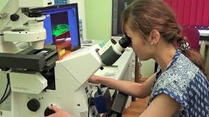 Quantitative research can be conducted by using a variety of methods of numerical data collection. Empirical Research Wikipedia