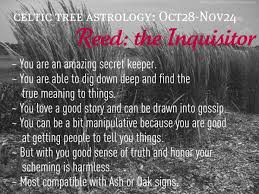 Celtic Astrology Reed I Don T Actually Put Any Faith In Astrology Description Is Interesting To Say T Celtic Tree Astrology Celtic Astrology Astrology