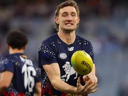 Cp caldo de pollo xxx