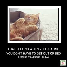 We did not find results for: If You Have A Job You Ll Relate To These Cats Careers24