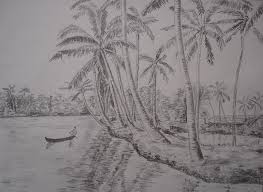 Kerala Backwaters And Coconut Trees Drawing By Shibin Varghese