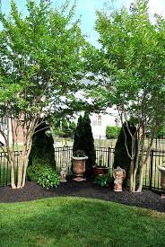 8 Great Ideas For Backyard Landscaping The Graphics Fairy Privacy Landscaping Beautiful Backyards Corner Landscaping