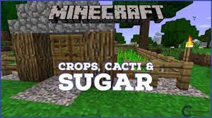 Изменено 3 октября, 2016 пользователем that1cactus fixed dates. Minecraft Beta 1 17 3 Gameplay Episode 2 Pergola Minecraft 1 Gameplay