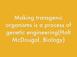 A transgenic animal, for instance, would be an animal that underwent genetic engineering. Benefits Of Transgenic Organisms By Manning Webb