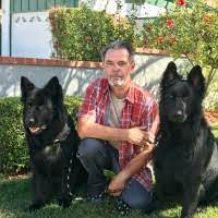 Maybe you would like to learn more about one of these? Herbert Jordan Business Owner Herbertsdogtraining And Herbiesk9service Linkedin