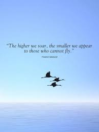 Birds are some of the most beautiful and inspiring animals that inhabit our planet. 30 Great Positive And Inspirational Quotes Psychologyvideoscareers Fly Quotes Philosophical Quotes Intelligence Quotes