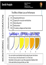 Download Dehydration Urine Color Chart Pdf