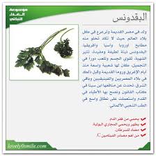 أنقذ نفسك البقدونس او المعدنوس كما يطلق عليه عندنا هل Facebook