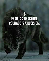 Motivation Warrior Quotes Inspirational Quotes Motivation Lone Wolf Quotes