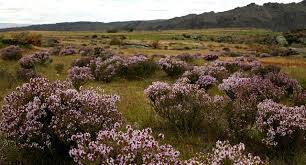 Central Otago A World Of Difference Otago Climate