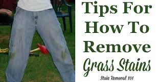 Oxiclean™ is your friend for removing grass. How To Remove Grass Stains Tips And Hints