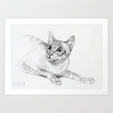 Black And White Siamese Cat Drawing Siamese Tabby Cat Hunting Graphite Pencil Drawing Black And White Art Print Cat Art Print Blackwhite Custom Cat Portrait Pencil Drawings Cat Portraits