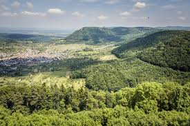 Immobilienpreise Aichwald 2025 – Marktanalyse & Off-Market-Investitionen