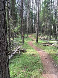 Turn north on main street in downtown clark fork, entrance to the national forest. Kaniksu National Forest Mountain Biking Trails Trailforks
