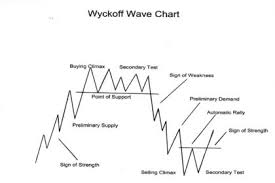 Wyckoff Trading Mastery Course Pnl Trading