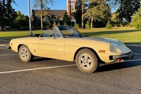 Image result for Giallo 1982 Alfa-Romeo