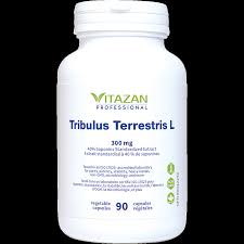 Image result for Tribulus terrestris