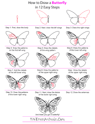How To Draw A Butterfly Butterfly Drawing Flower Drawing Butterfly Painting