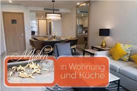 Maden In Wohnung Und Kuche Bekampfen 9 Wirksame Hausmittel