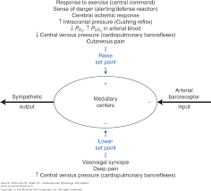 Chapter 9 Regulation Of Arterial Pressure Cardiovascular