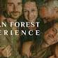 Human Forest - A Regenerative & Connective event image