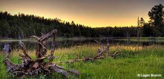 Maybe you would like to learn more about one of these? Flagstaff Cabins For Rent