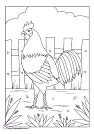 Kokok lantang ayam jantan dari timur siap mewarnai asian games. Gambar Mewarnai Hewan Ayam Semesta Ibu