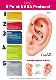 Pin By Ymade Star Nine On Eastern Ear Reflexology Acupressure Treatment Acupuncture