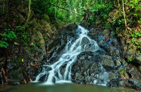 Taman nasional bukit 12 (tnbd). 10 Destinasi Wisata Terbaik Di Tanjung Jabung Barat Keindahannya Bikin Nagih Destinasi Travel Indonesia